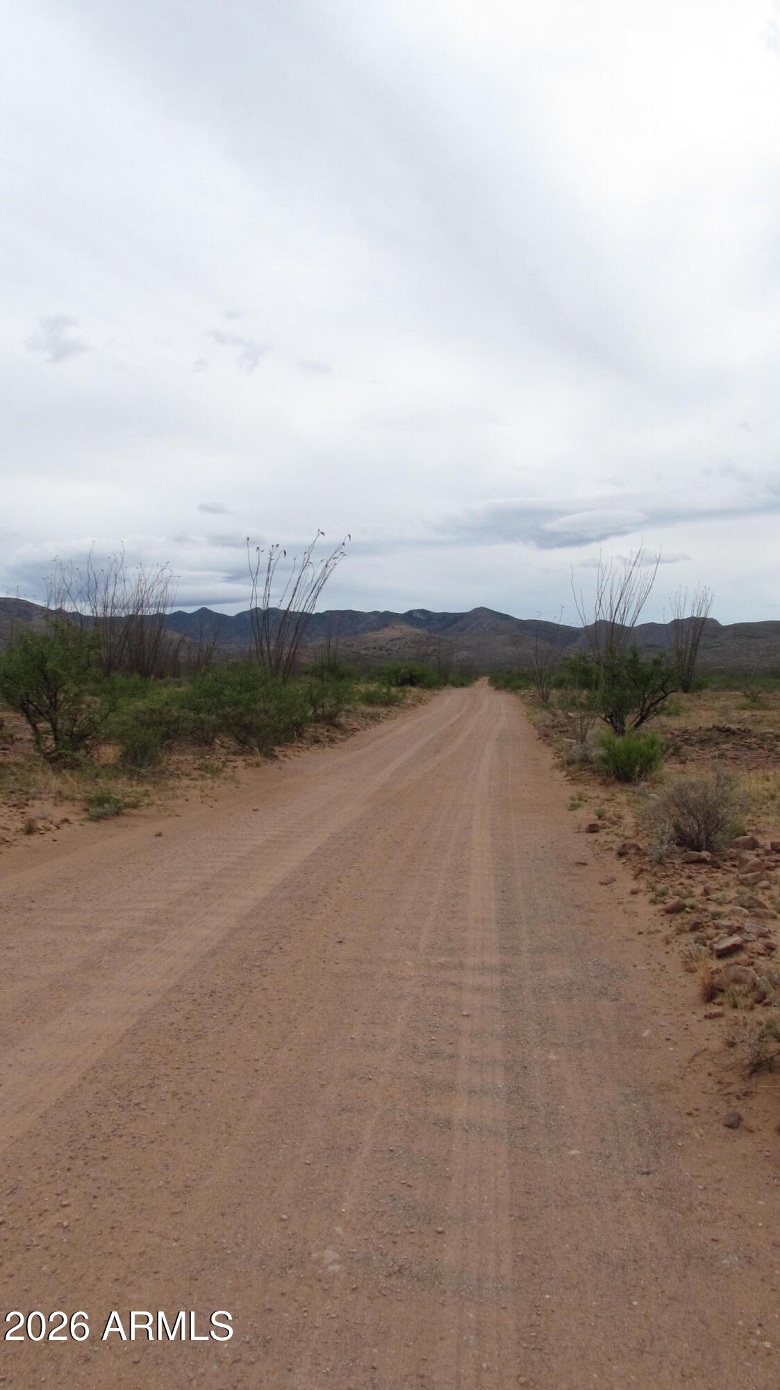 MULE MOUNTAIN RANCHES PHASE 2 - Land