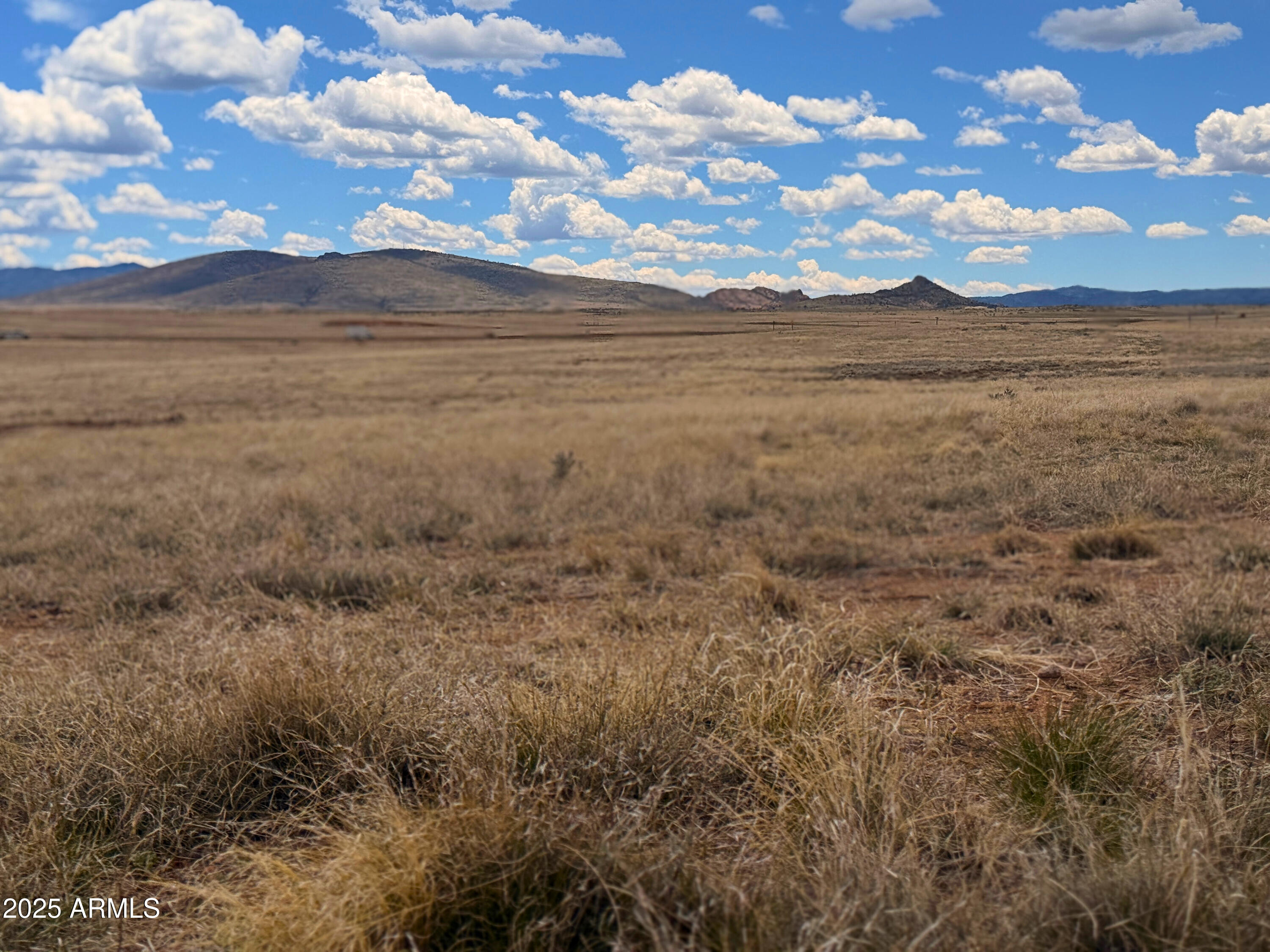 C1 E Copperfield Drive -