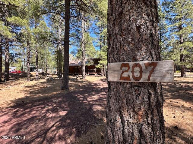 207 BLUE RIDGE Road