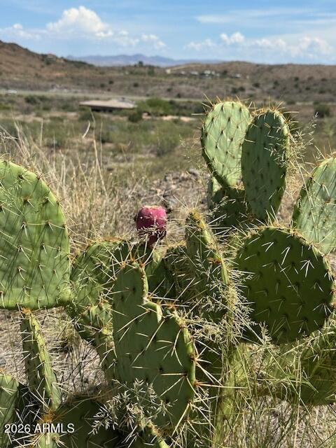 12311 S CABALLO Terrace 315