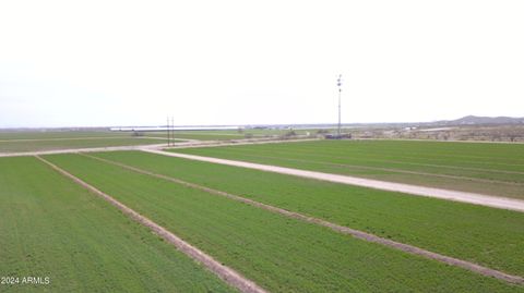 18100 N WALKER BUTTE Drive - Florence AZ 85132