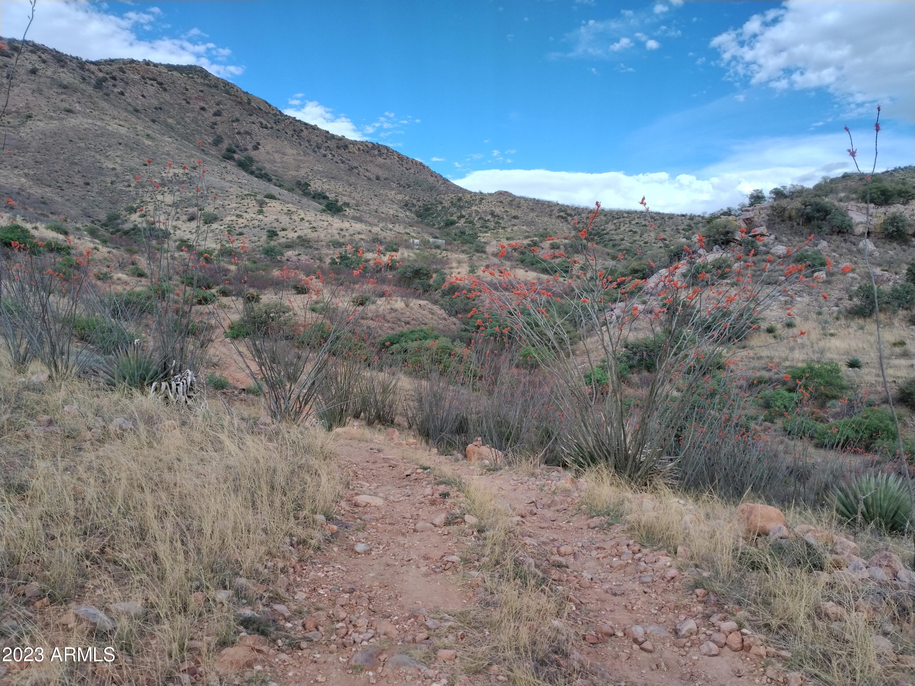 RIO VISTA - Land