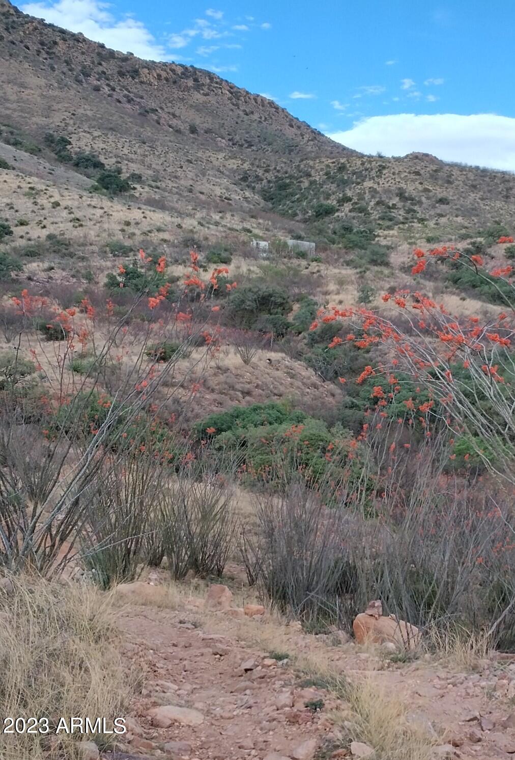 127 N Lupine Road 23