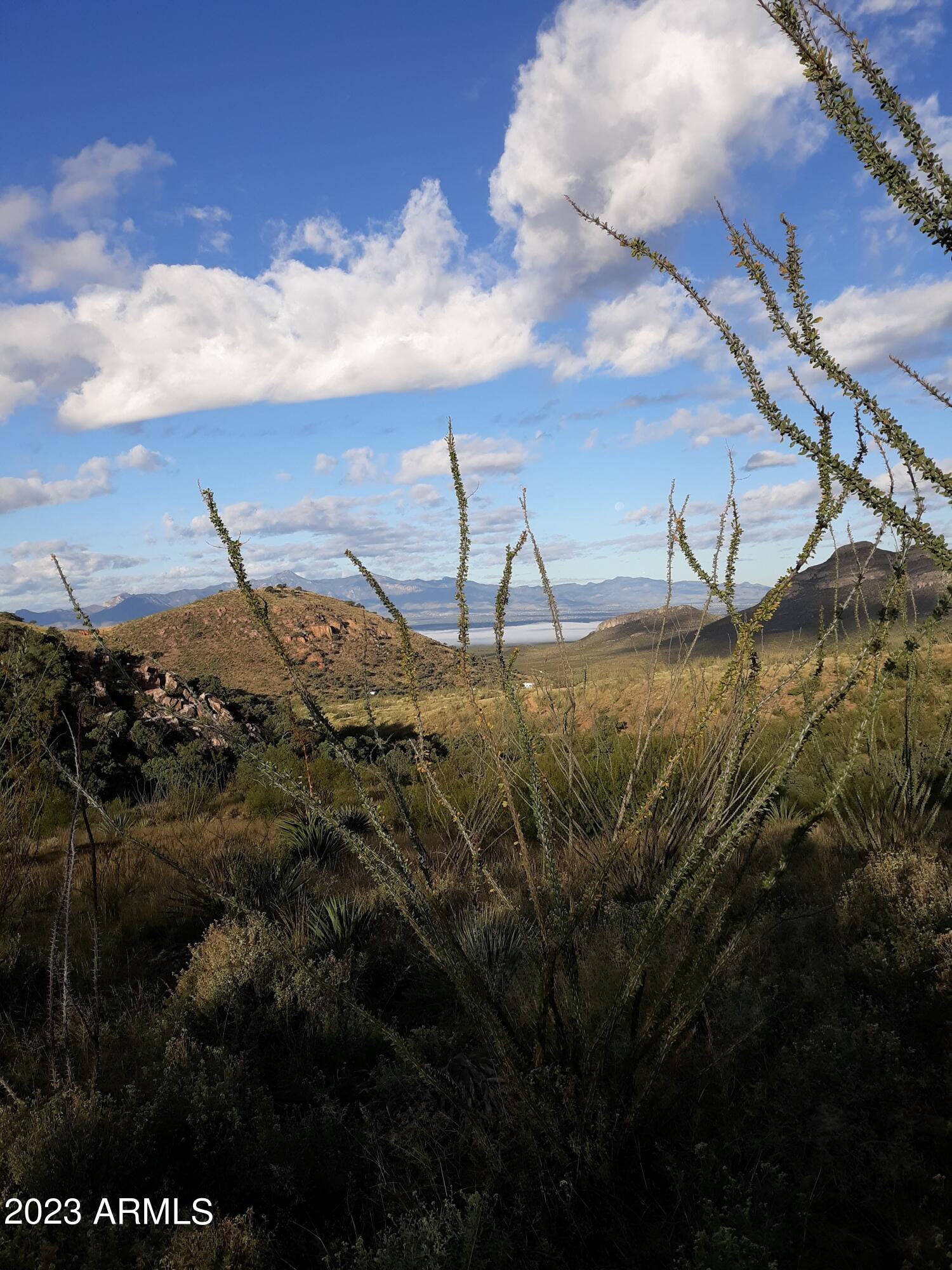 127 N Lupine Road 23