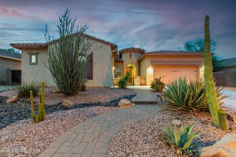 Single Family Residence in Peoria AZ 9295 QUAIL TRACK Drive.jpg