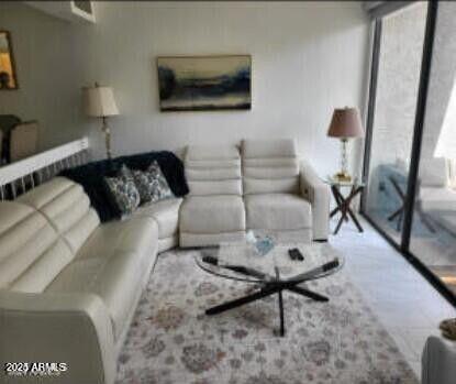 10055 E MOUNTAINVIEW LAKE Drive 1045