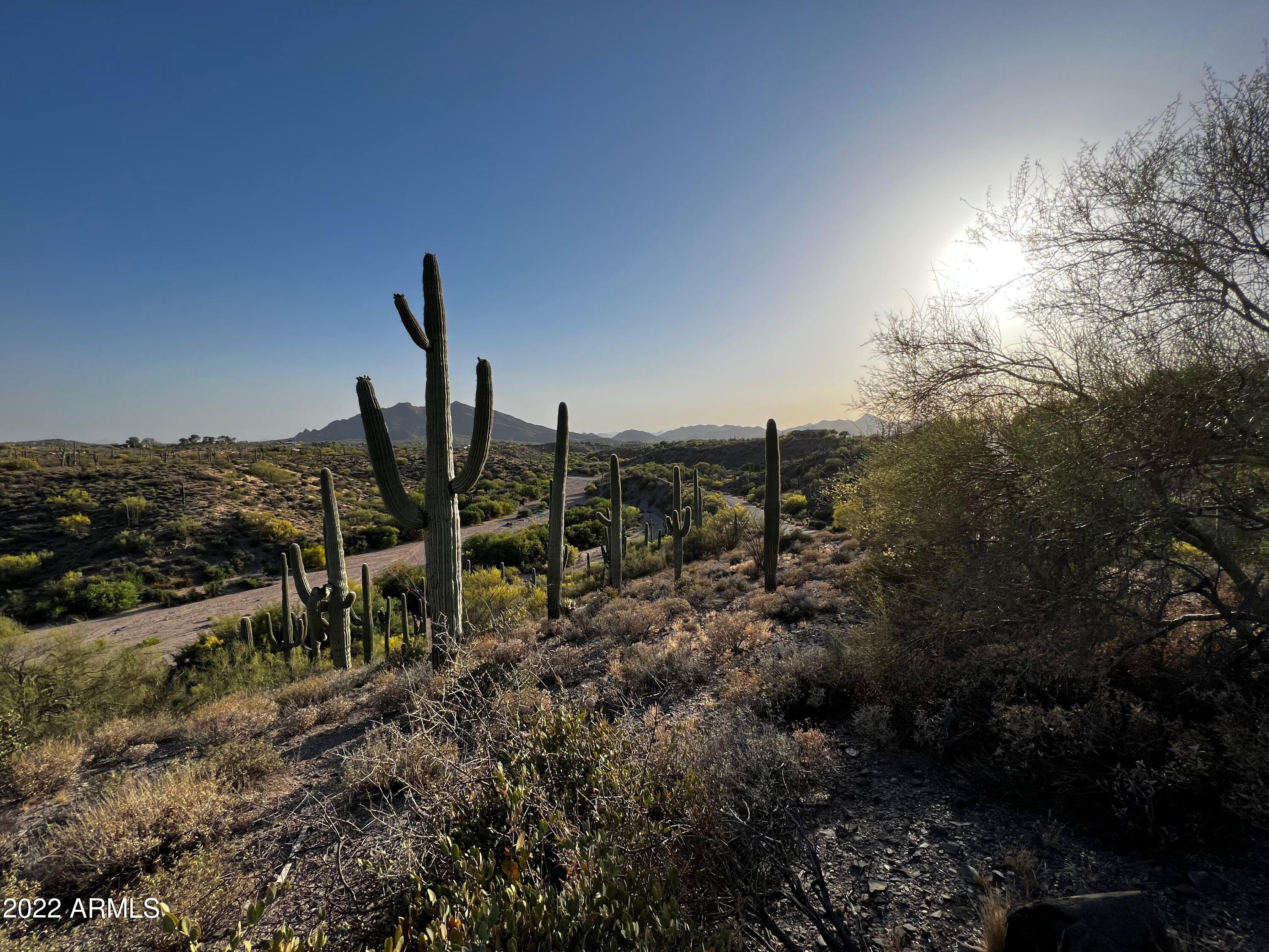 39585 N OCOTILLO RIDGE Drive 1
