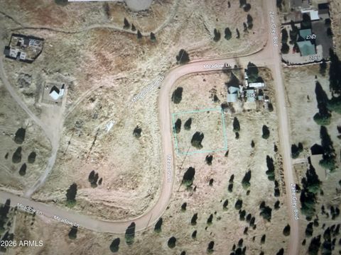 2287 MEADOW Lane 165 Overgaard AZ 85933