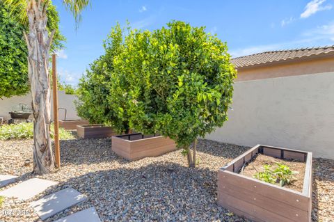 A home in Gilbert