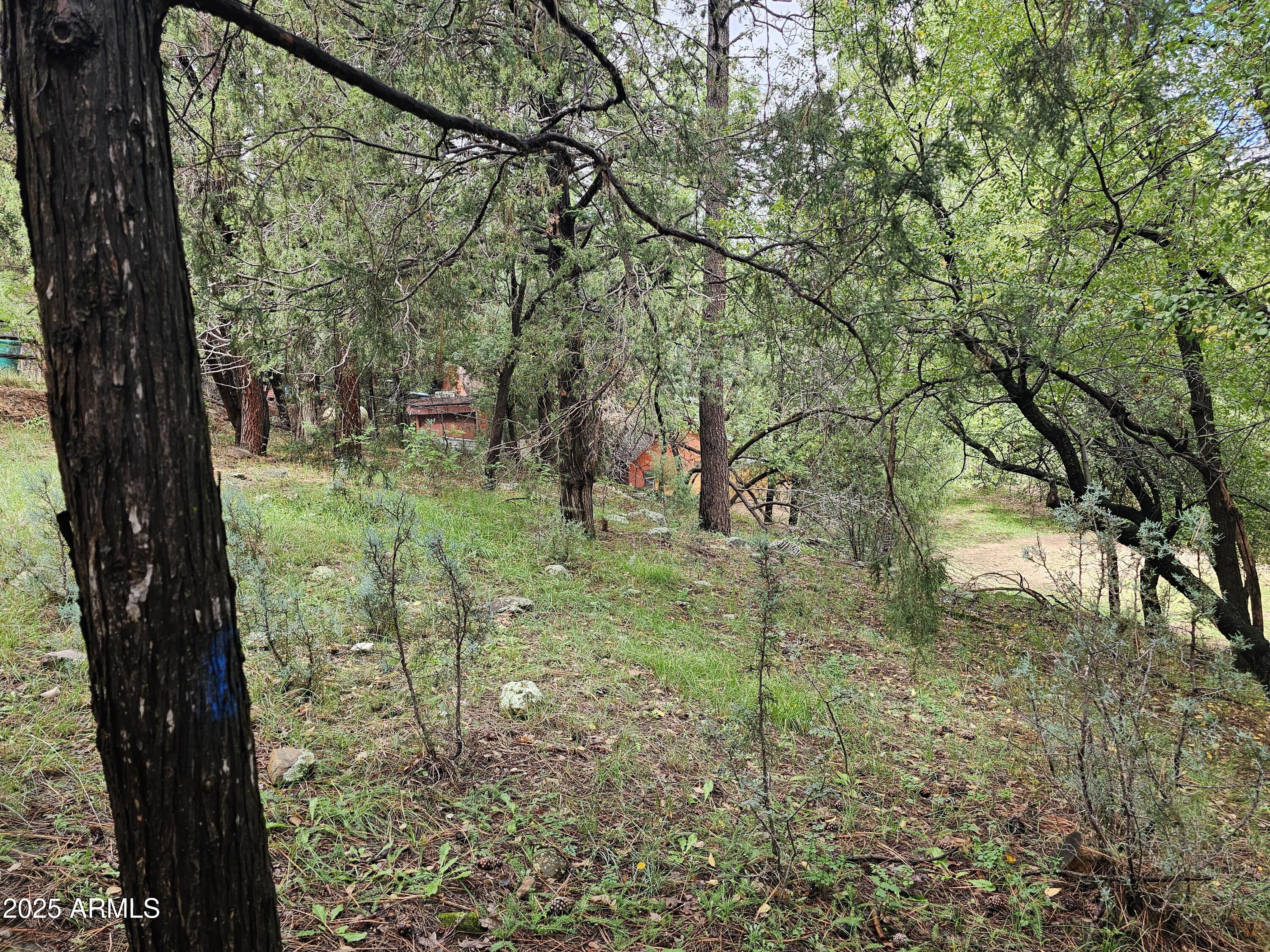 Payson, Arizona 85541, United States, ,Land,Active,227483