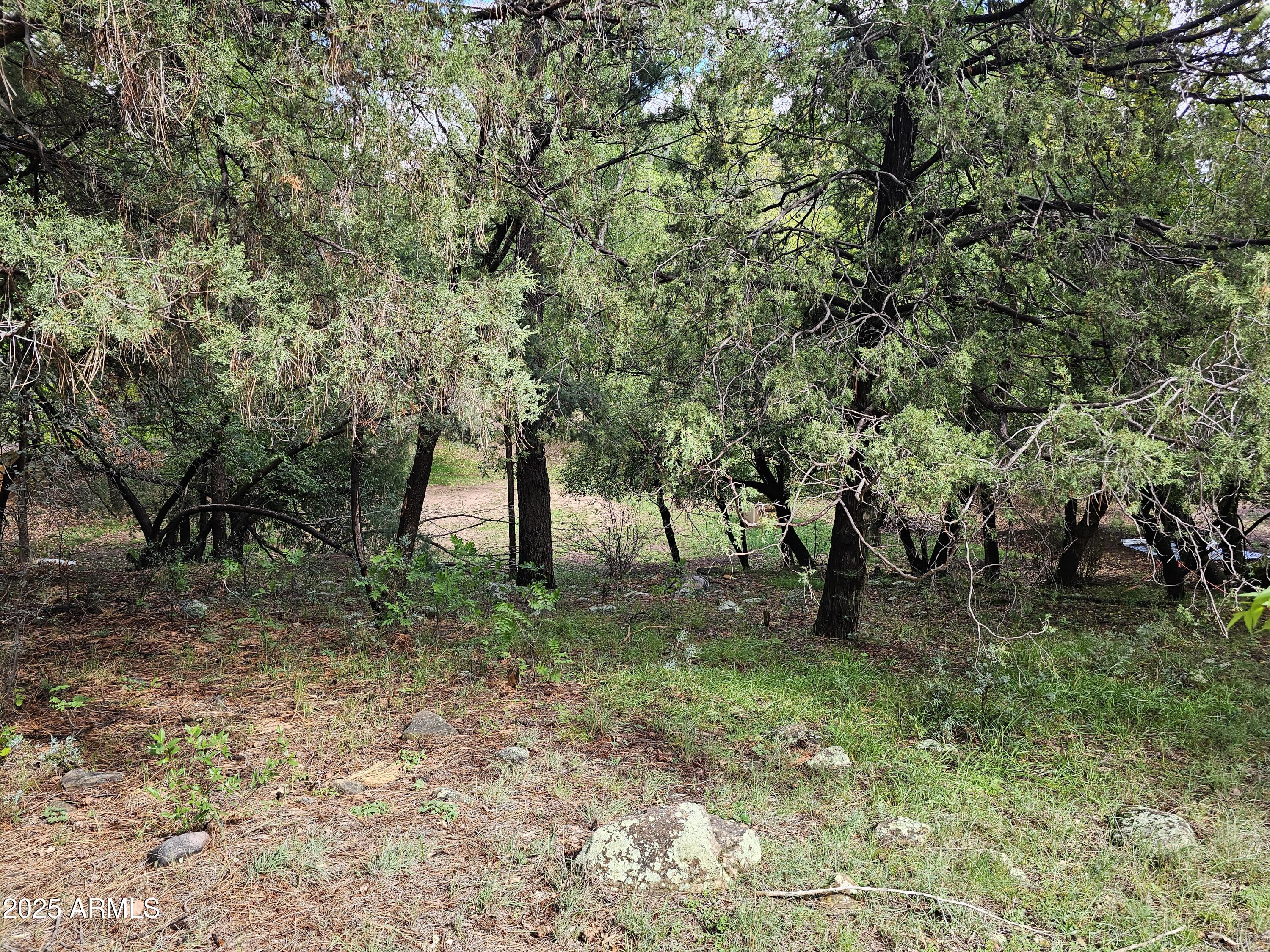 Payson, Arizona 85541, United States, ,Land,Active,227483