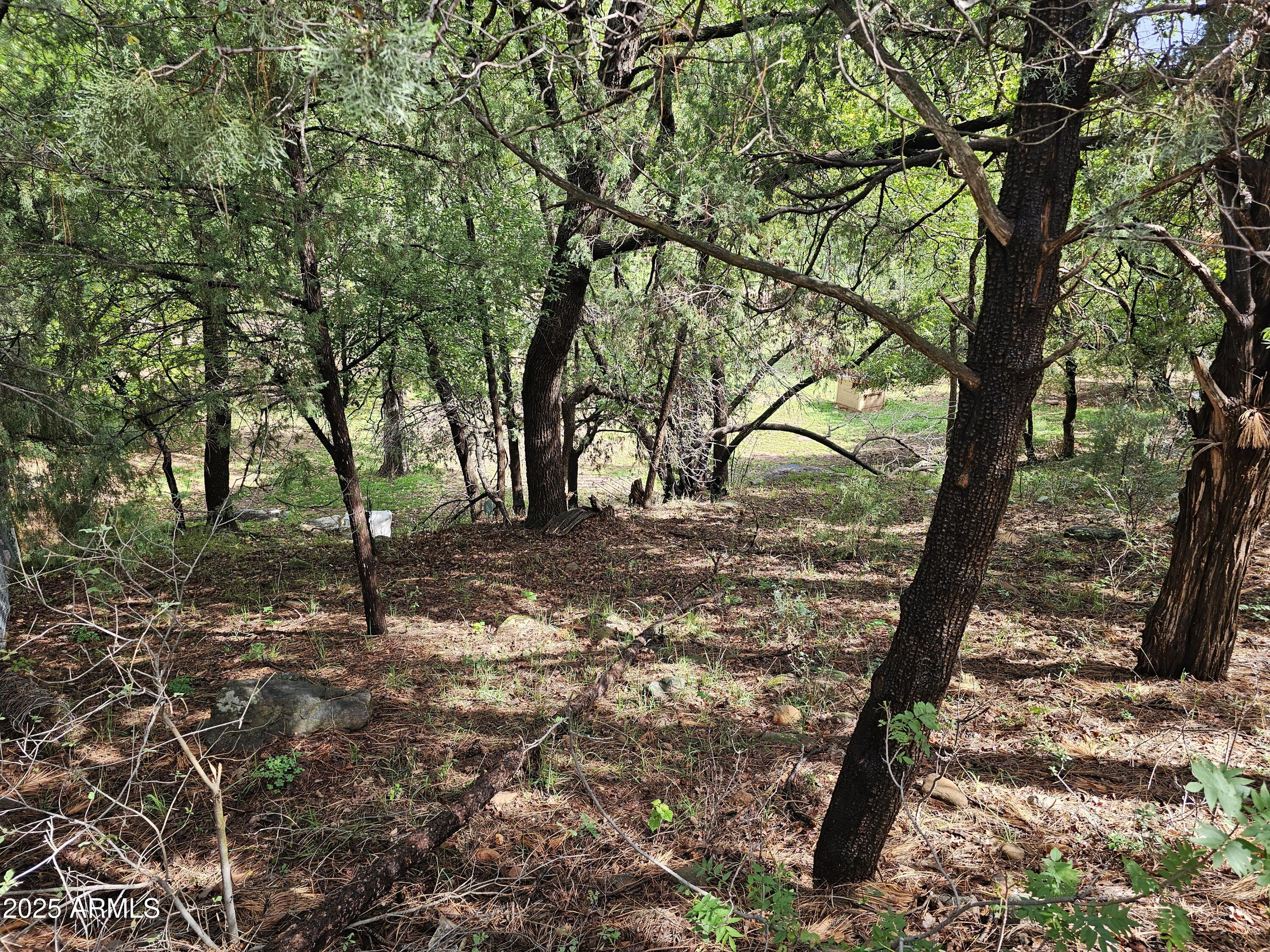 Payson, Arizona 85541, United States, ,Land,Active,227483