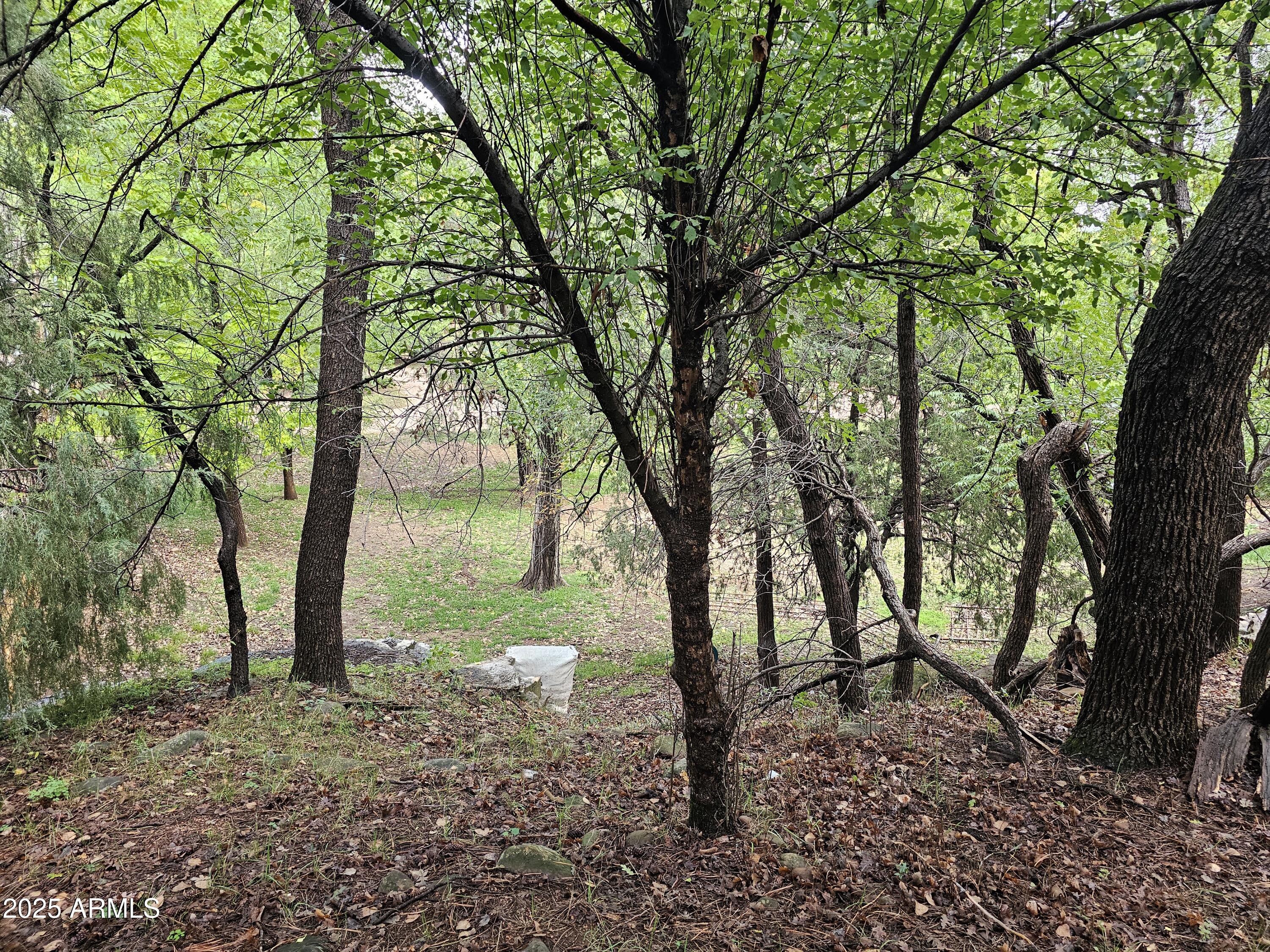 Payson, Arizona 85541, United States, ,Land,Active,227483