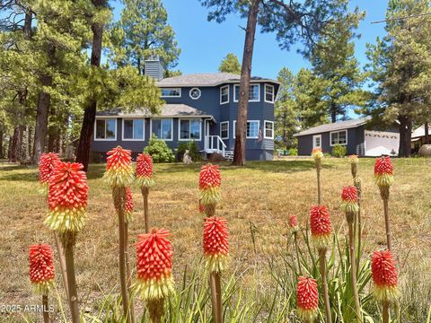 867 CRESTVIEW Drive Mormon Lake AZ 86038