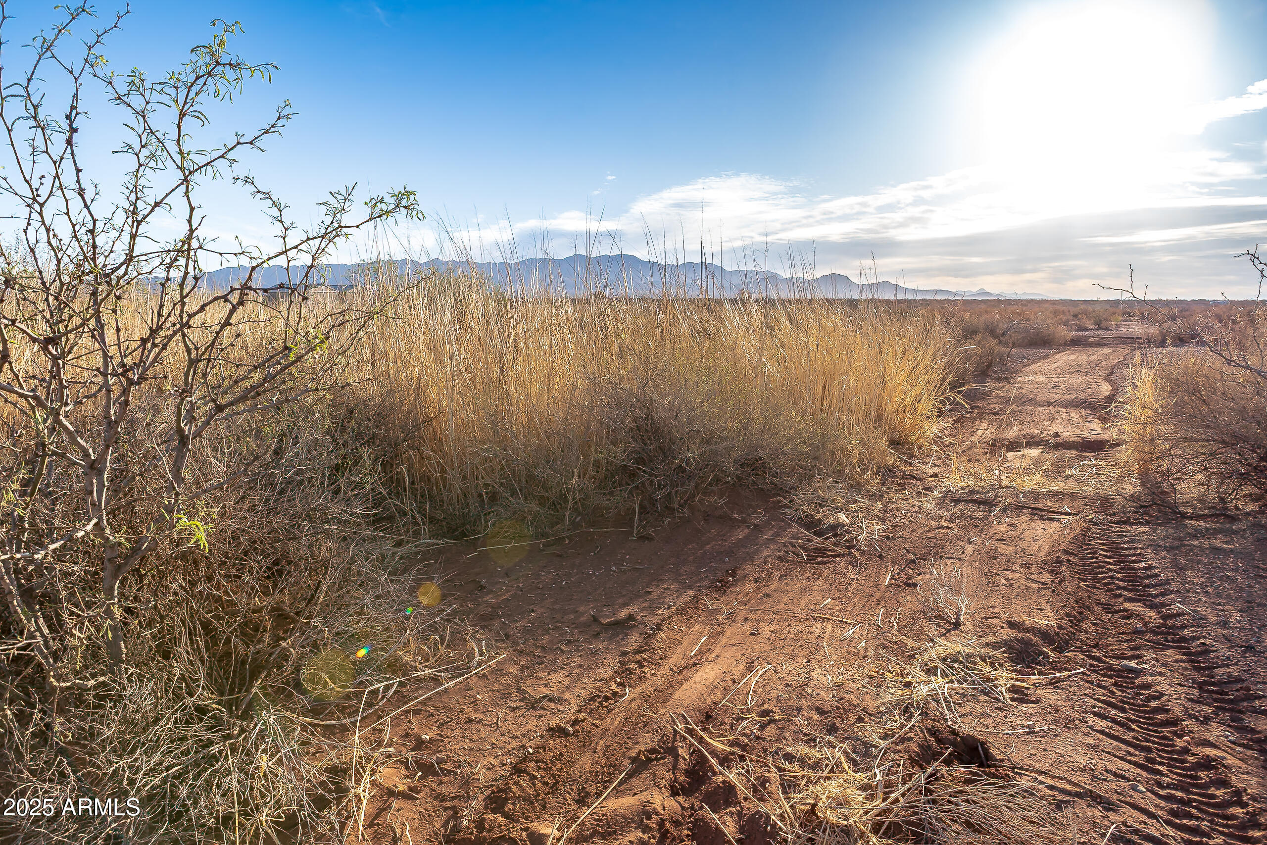 Palominas Ranches Lot 51 - Land