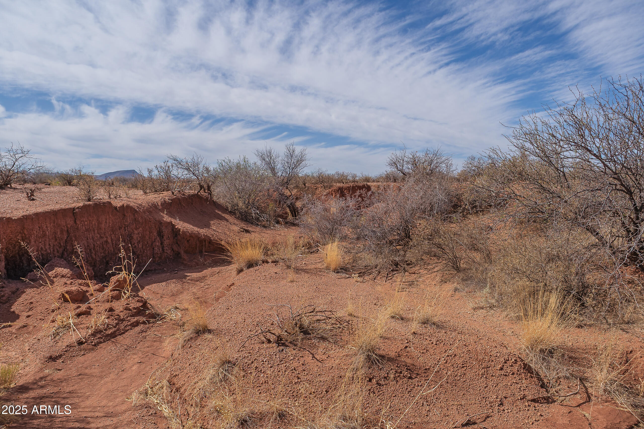 Palominas Ranches Lot 51 - Land