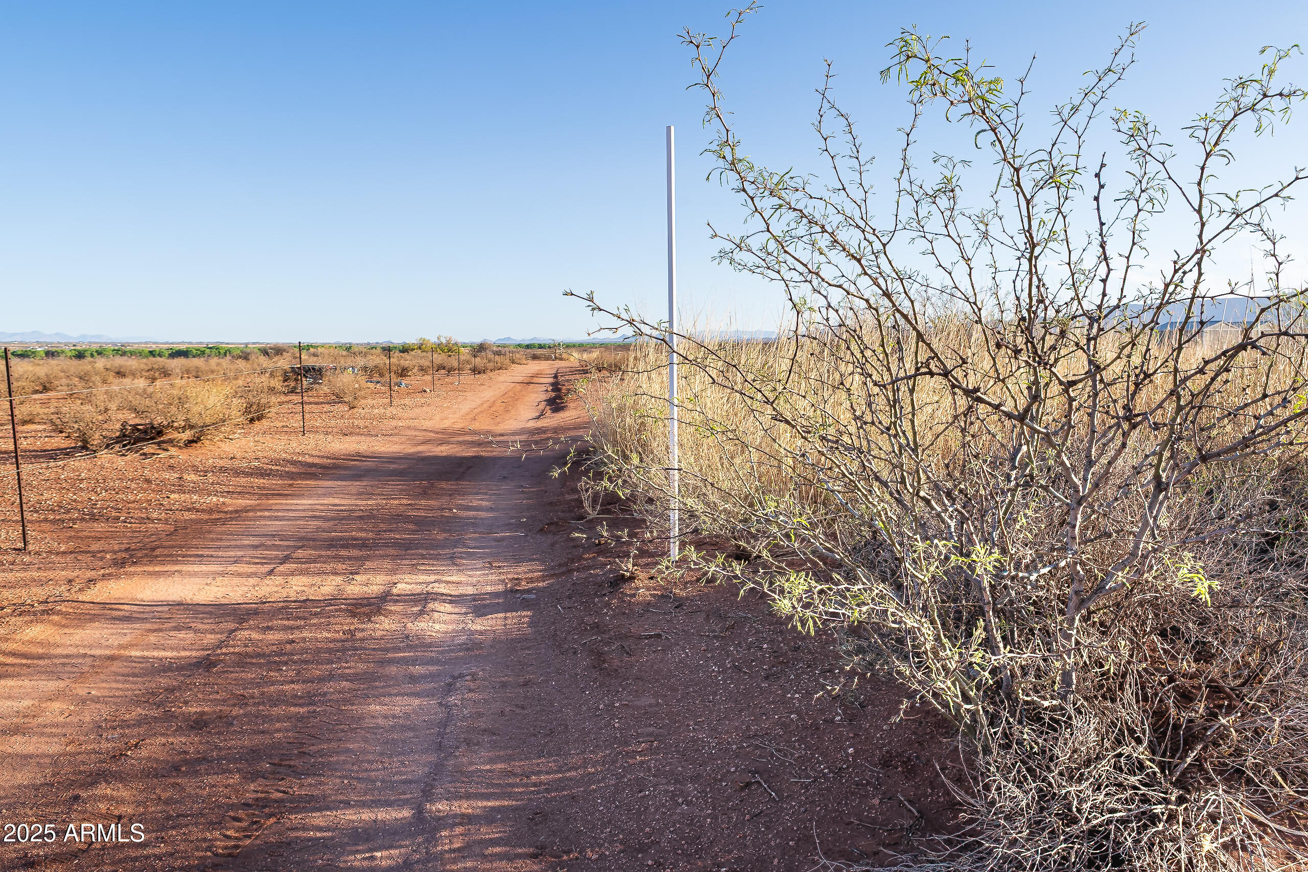Palominas Ranches Lot 51 - Land