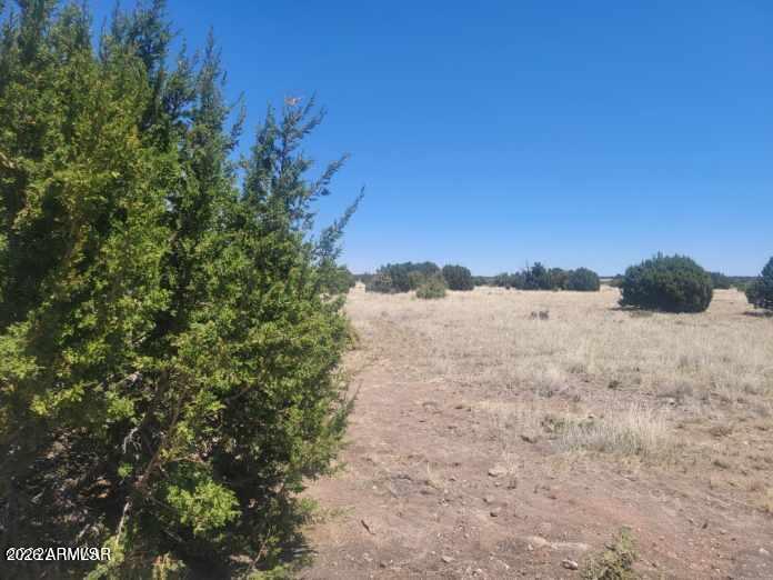 8430 LAKE VIEW Drive 79