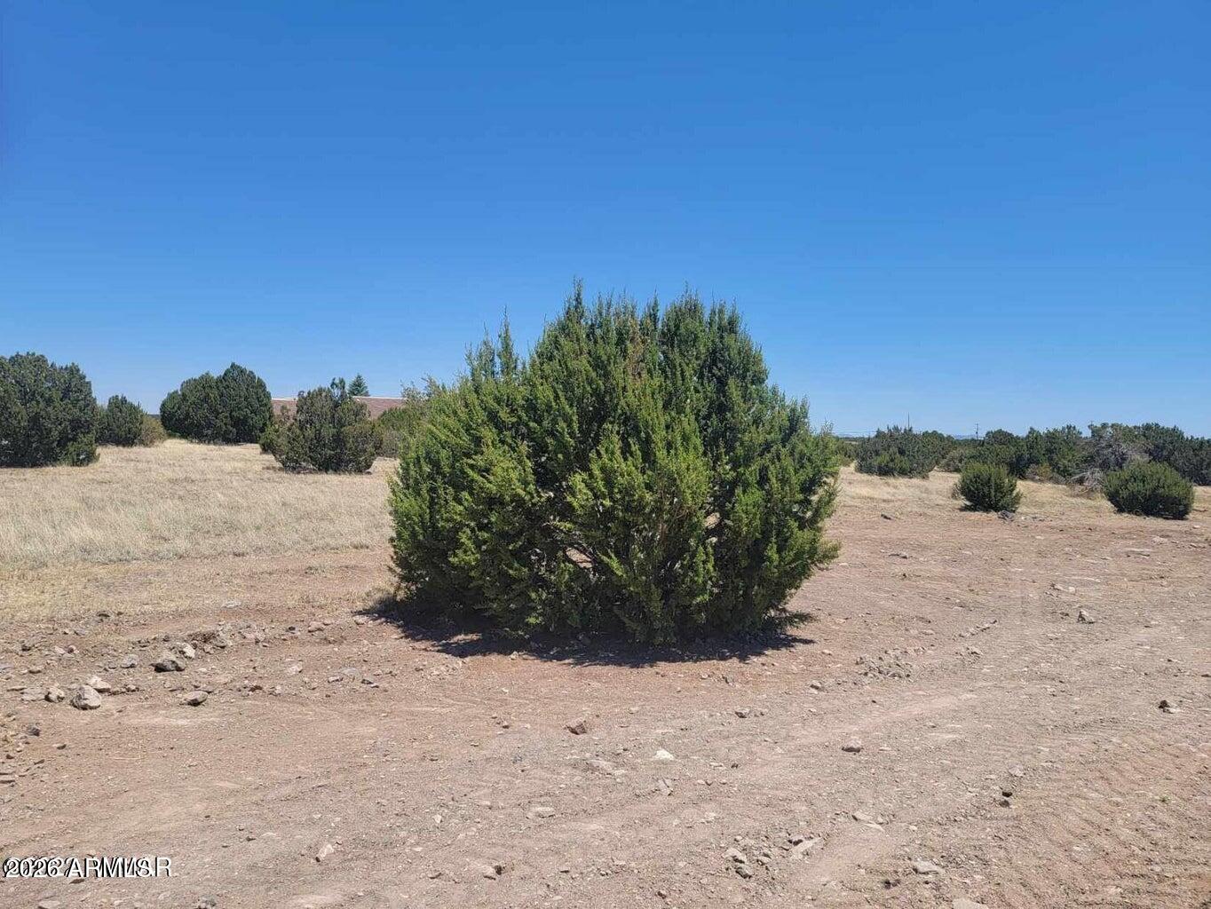 WHITE MOUNTAIN LAKES UNIT 1 - Land