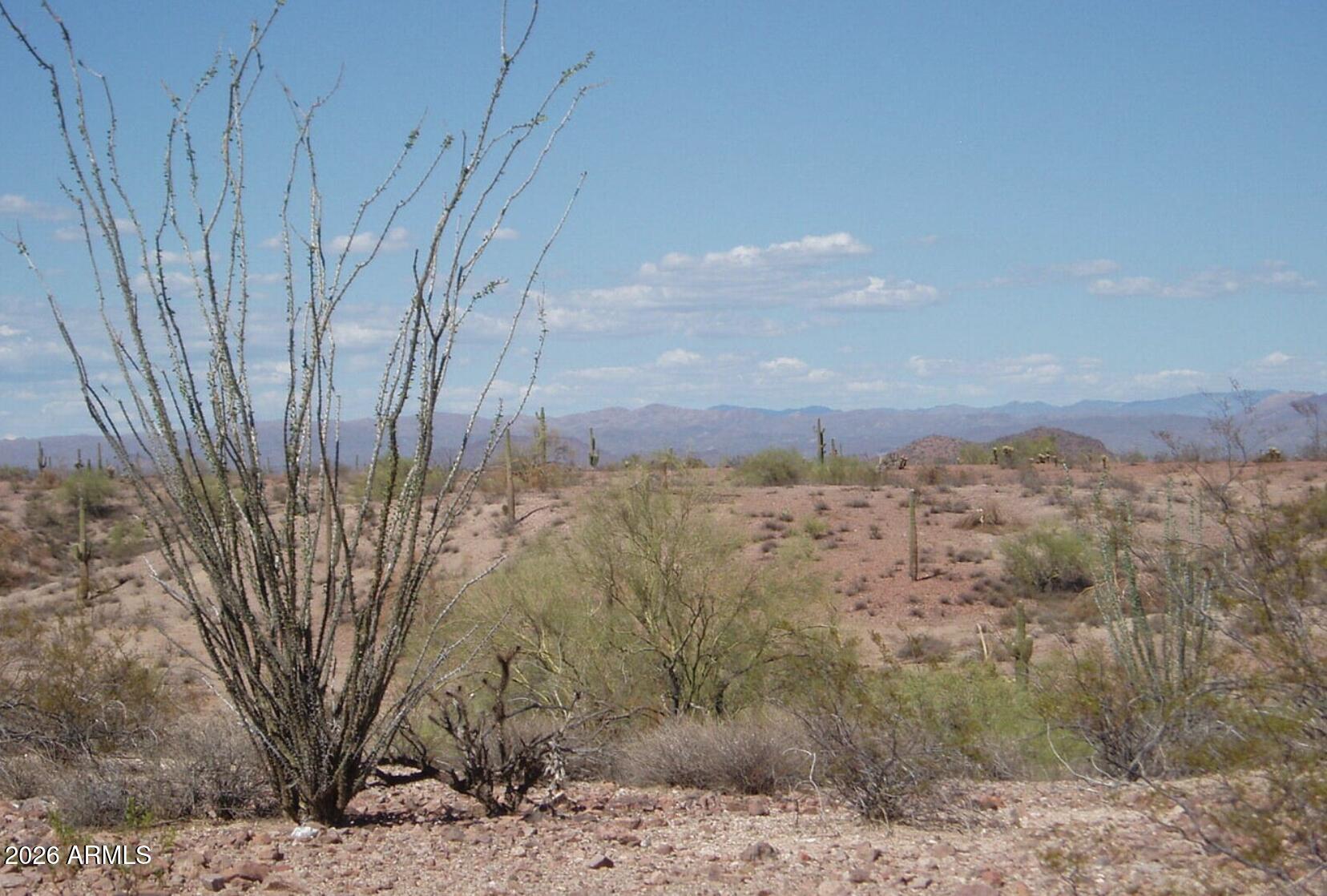 29299 W Villa Cassandra Way 3-19