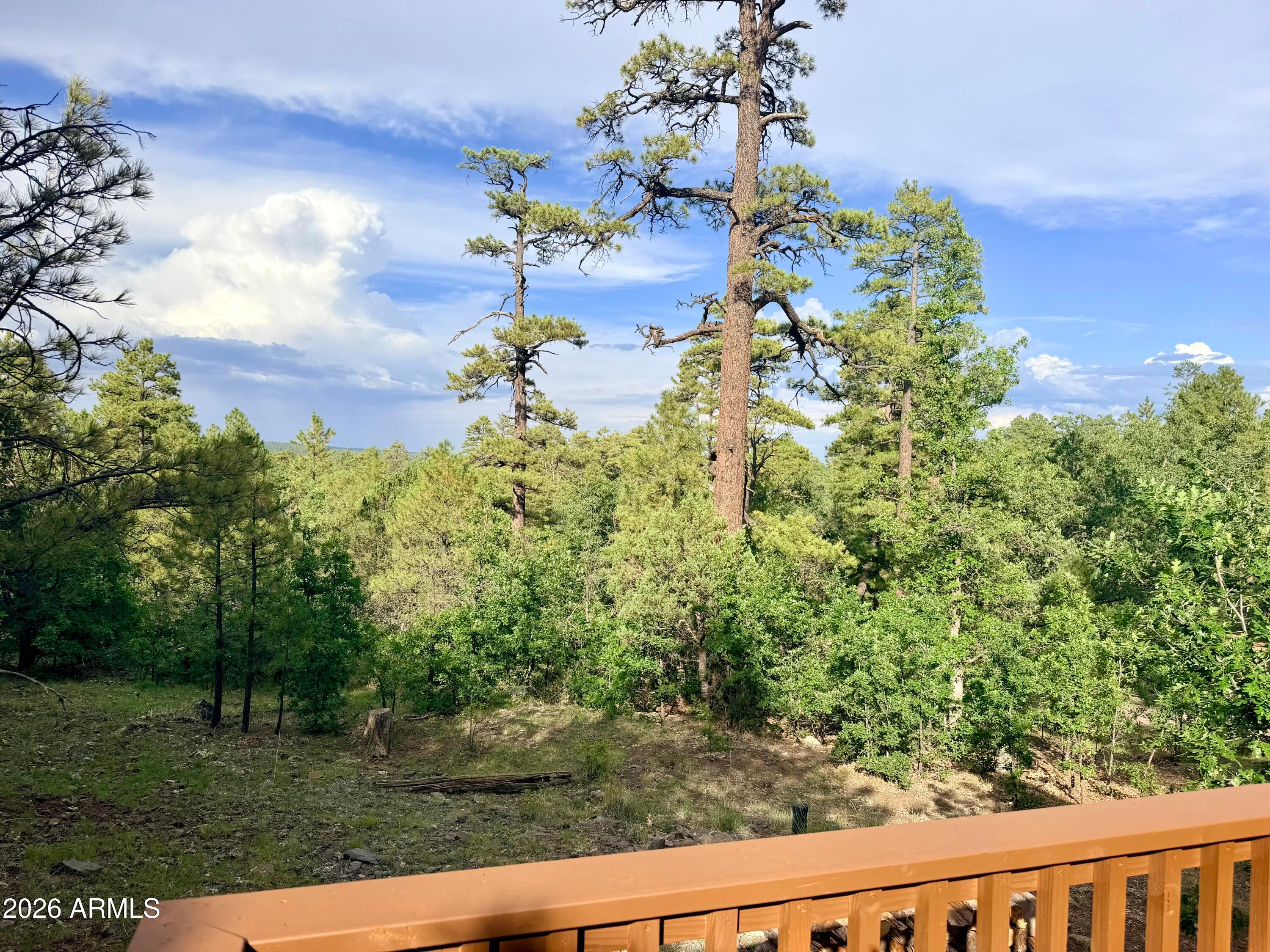 1584 WILLOW MOUNTAIN Road