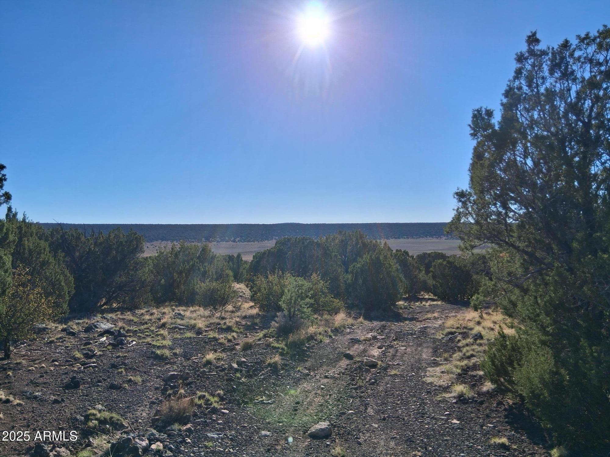 TAMARRON RANCH UNIT 9 - Land