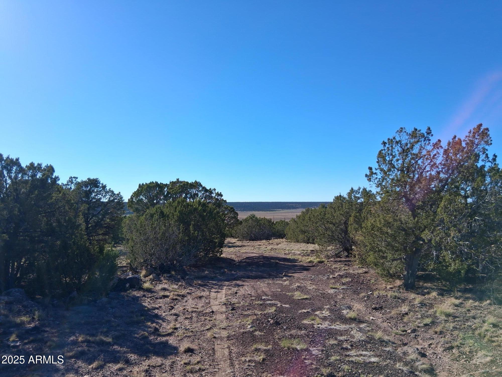 TAMARRON RANCH UNIT 9 - Land