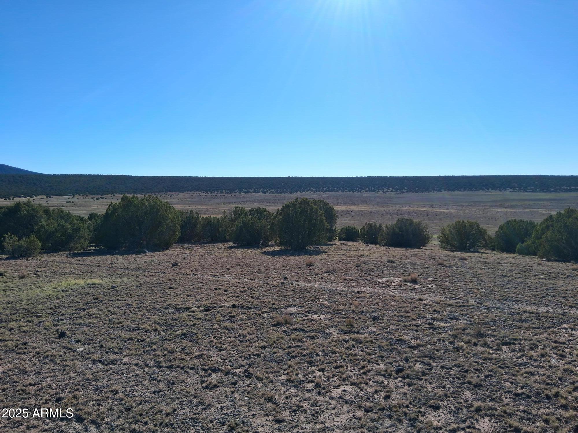 TAMARRON RANCH UNIT 9 - Land