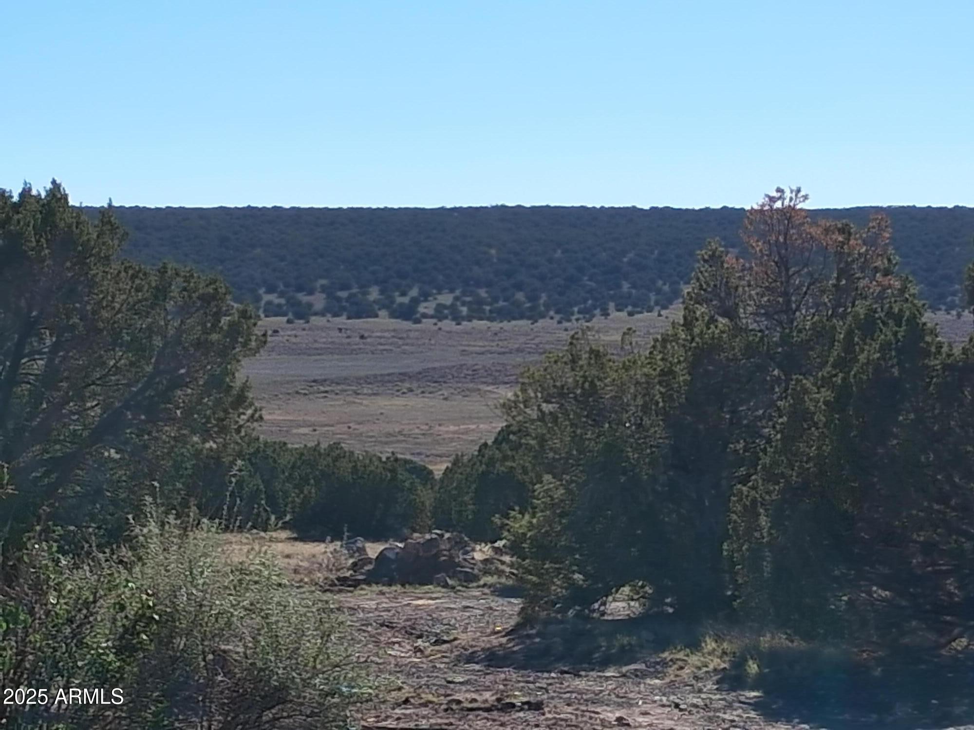 TAMARRON RANCH UNIT 9 - Land