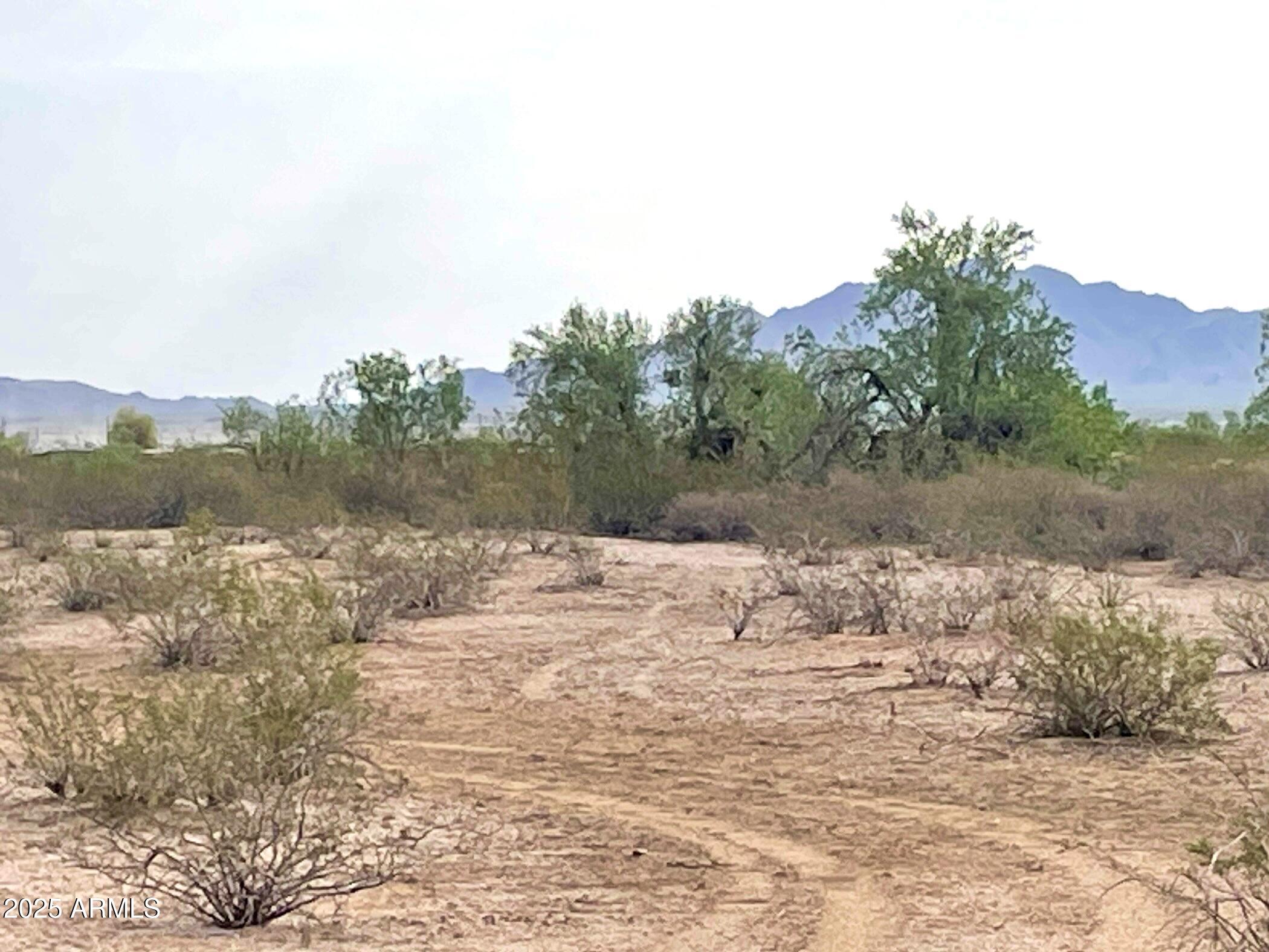 0 S 193rd (South lot) Avenue -