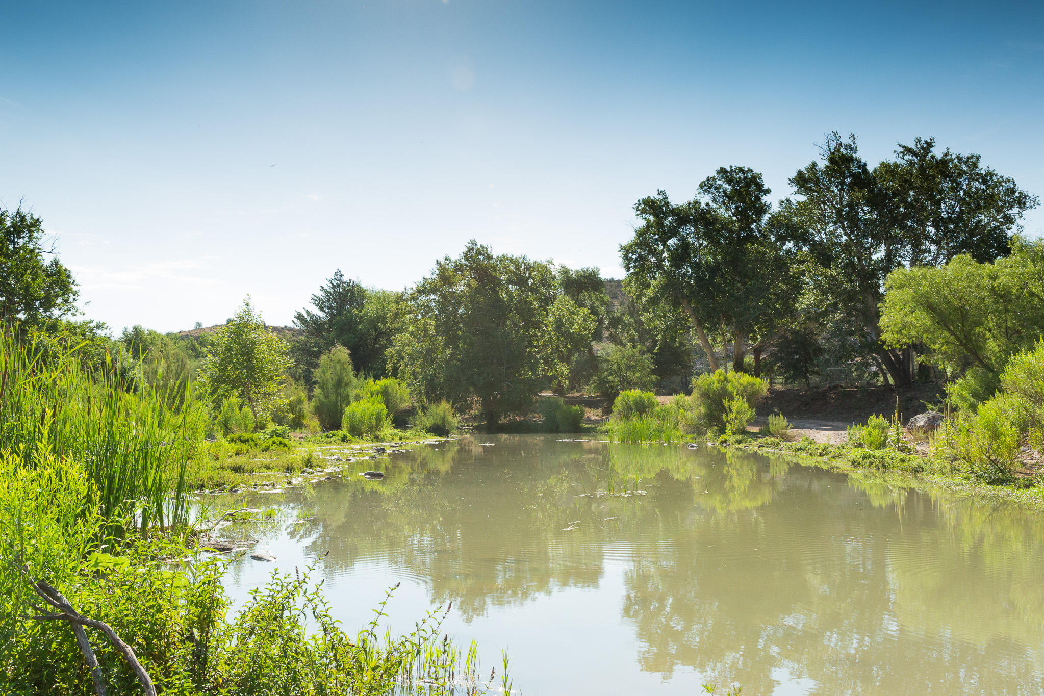 5 Acres or More - Residential