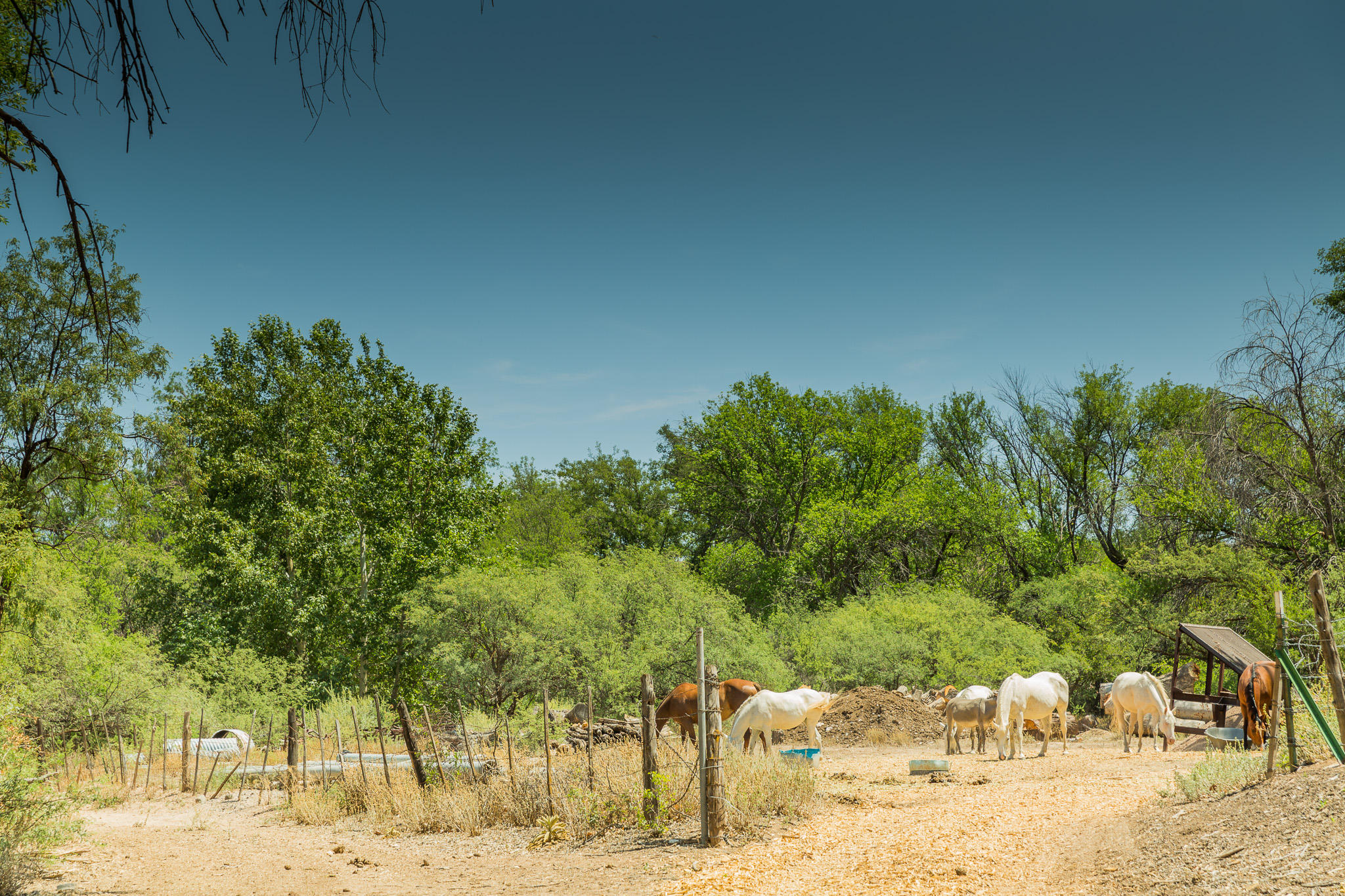 5 Acres or More - Residential