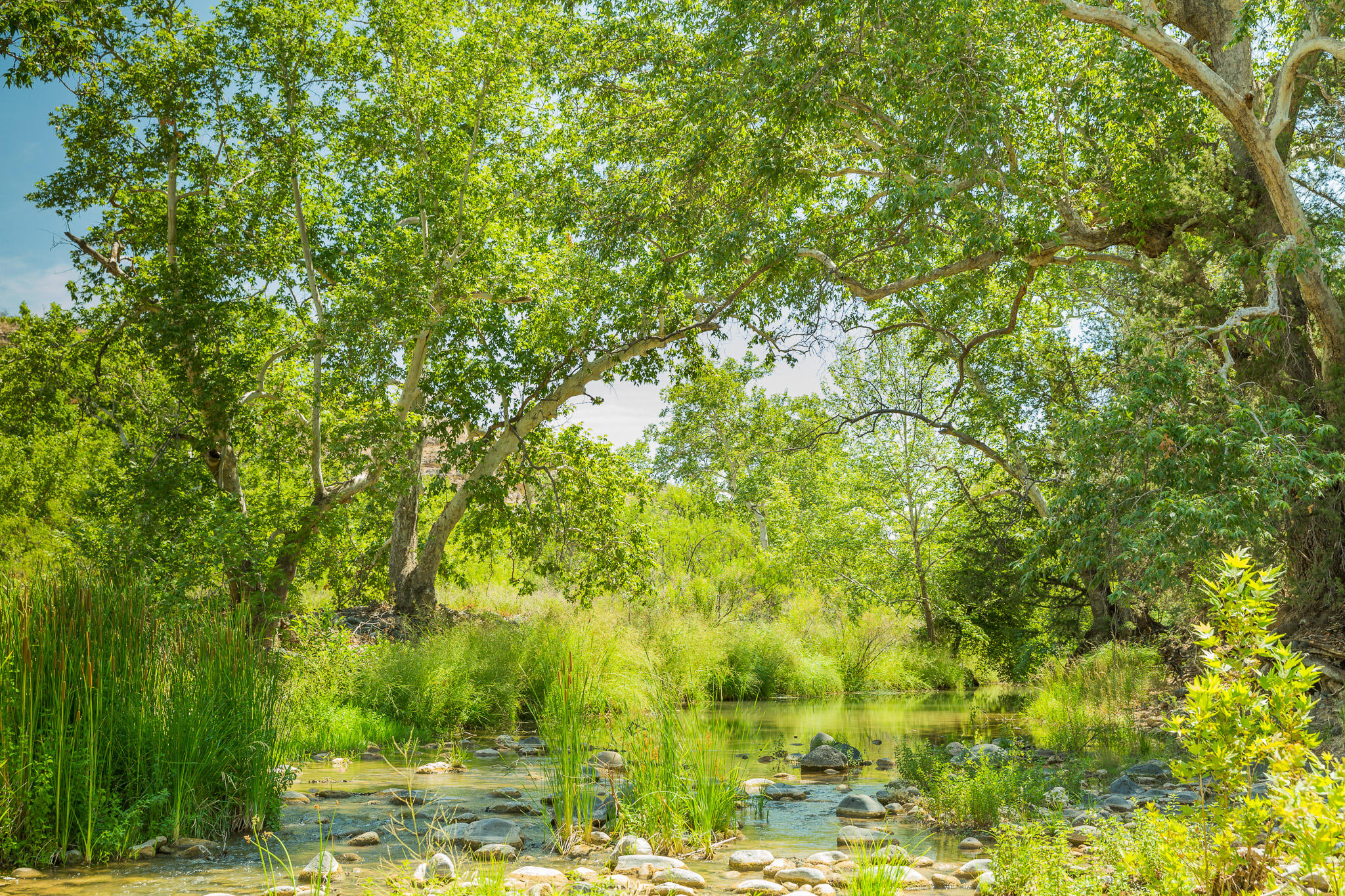 5 Acres or More - Residential