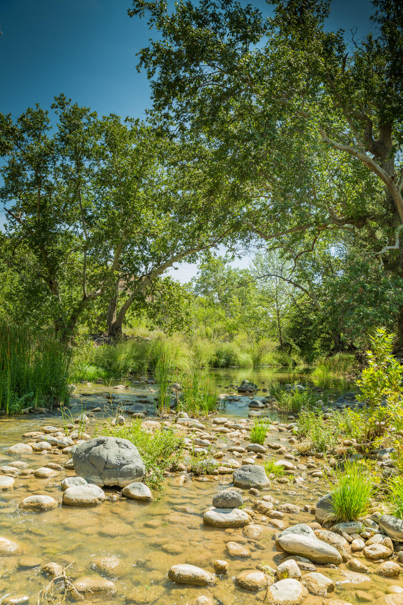 5 Acres or More - Residential