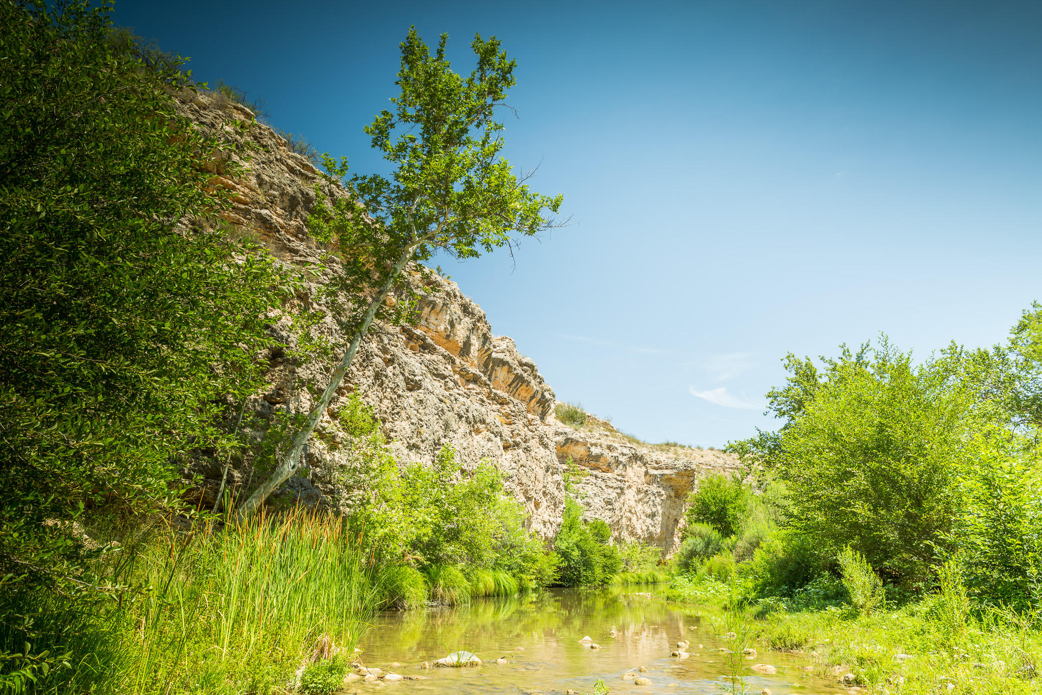 5 Acres or More - Residential