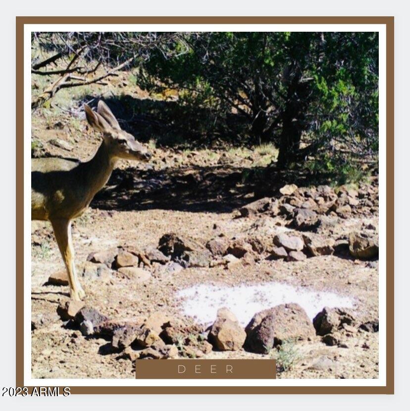 00XX N Edwards Ranch RD 327 Road 327