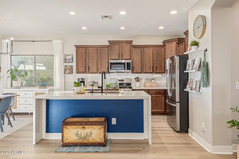 793 W TRELLIS Road Queen Creek AZ 85140