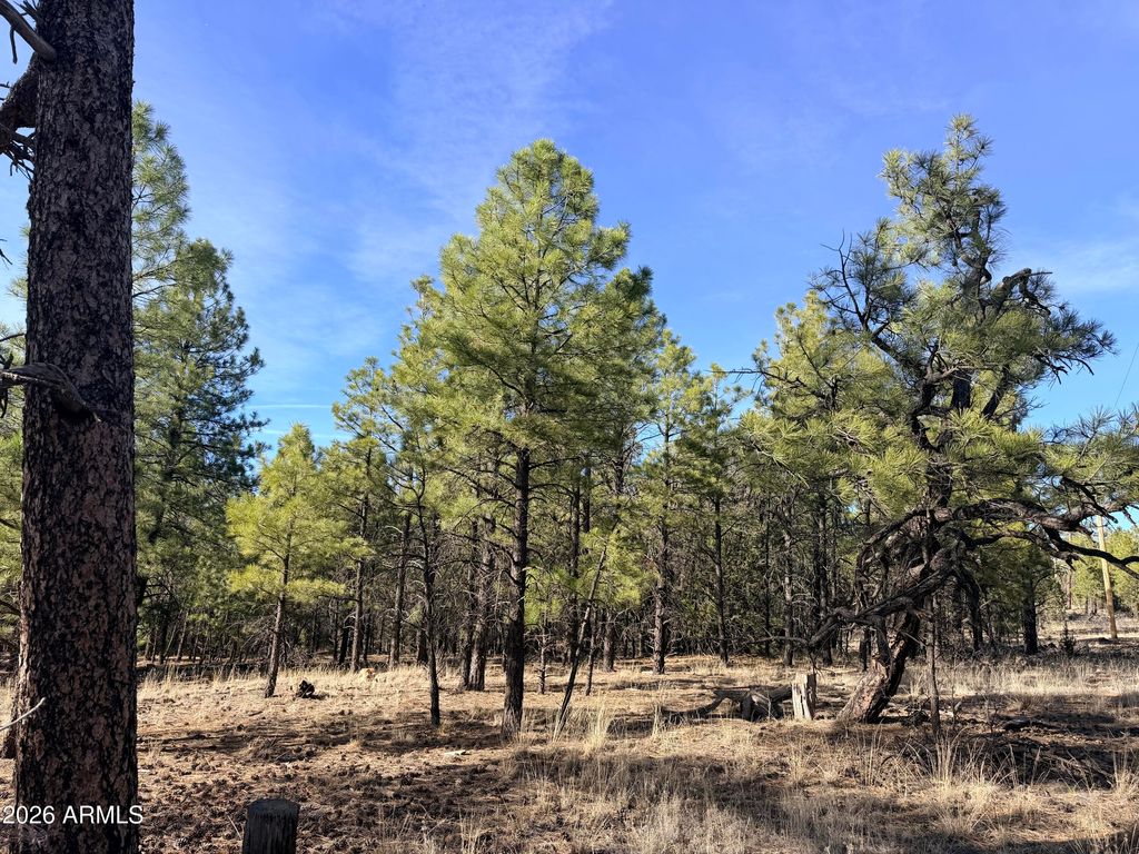 Photo of 2397 Wigeon Way #6, Happy Jack, AZ 86024 (MLS # 7000636)