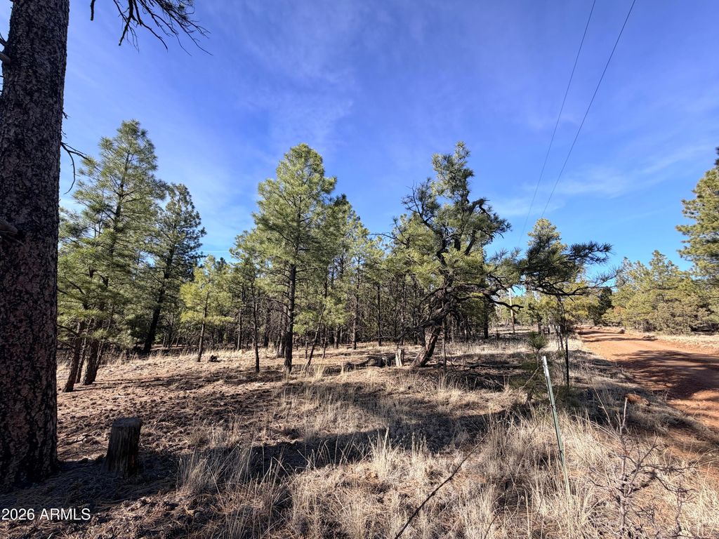 Photo of 2397 Wigeon Way #6, Happy Jack, AZ 86024 (MLS # 7000636)