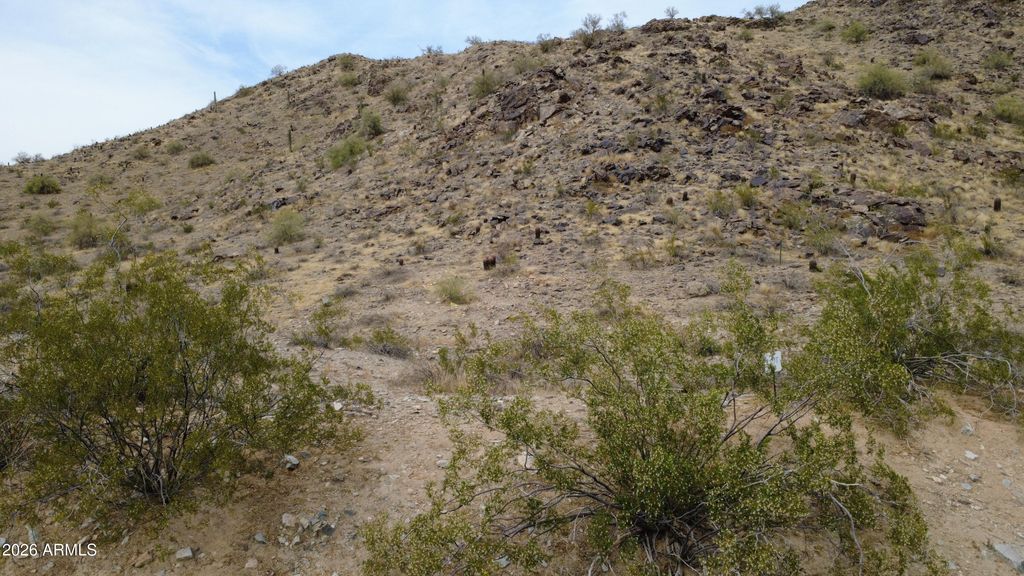 Photo of 13829 S Canyon Drive #33, Phoenix, AZ 85048 (MLS # 6992274)