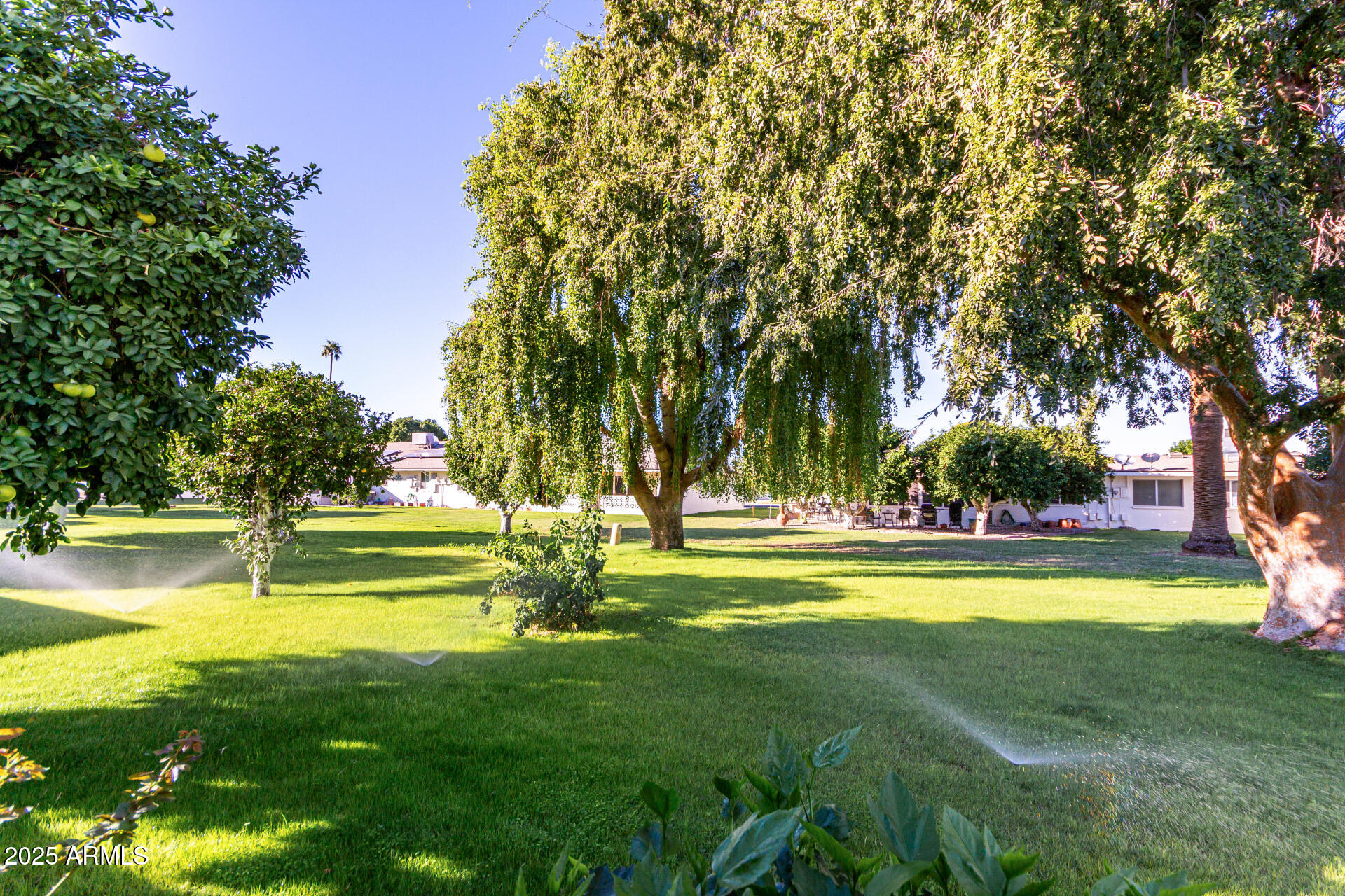 10754 W CINNEBAR Avenue