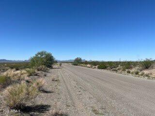 42105 ROADRUNNER Circle Lot 2