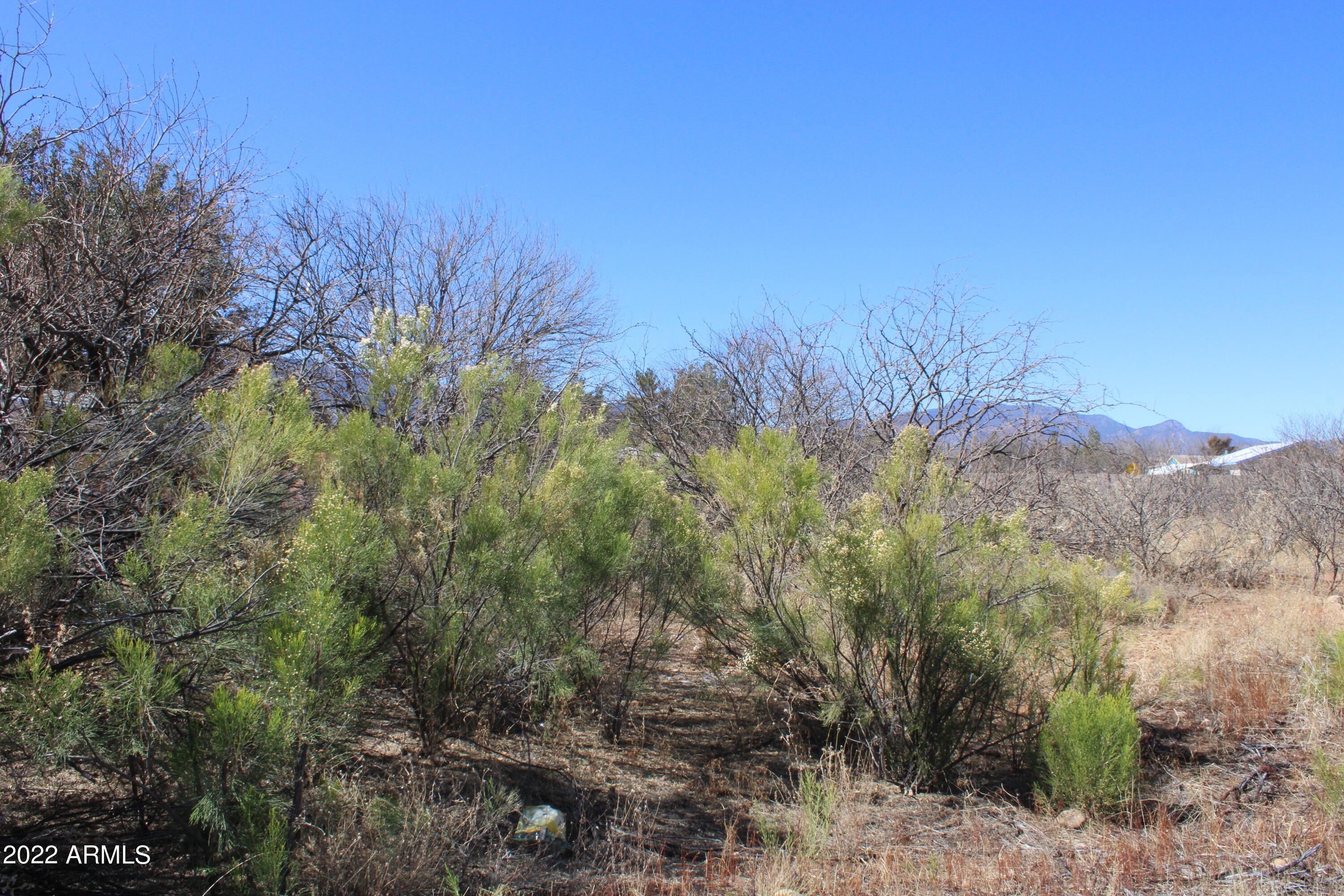 Sierra Reserve - Land