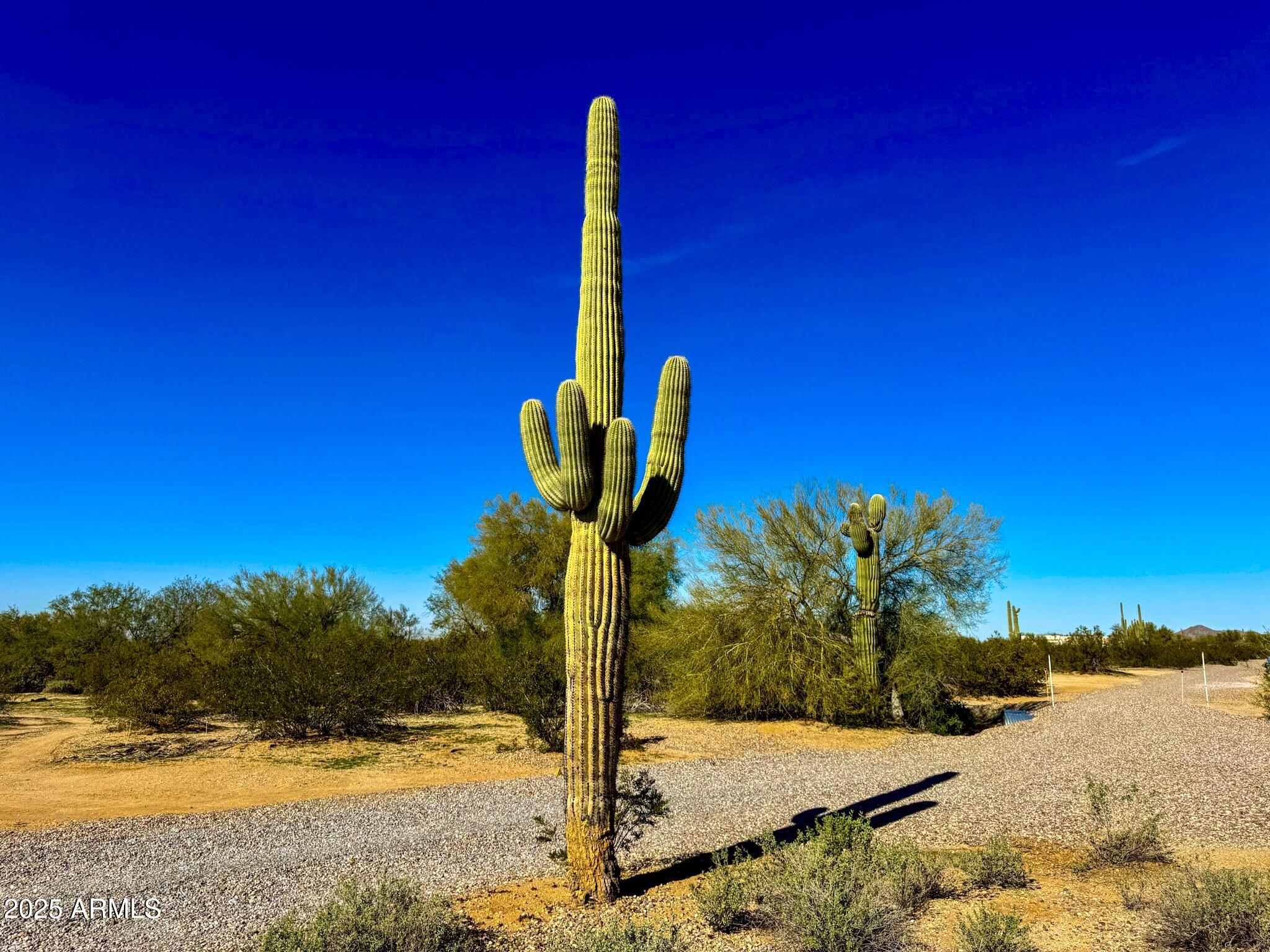 0 S Cactus Garden Way Lot 4 2.5 Ac -- -