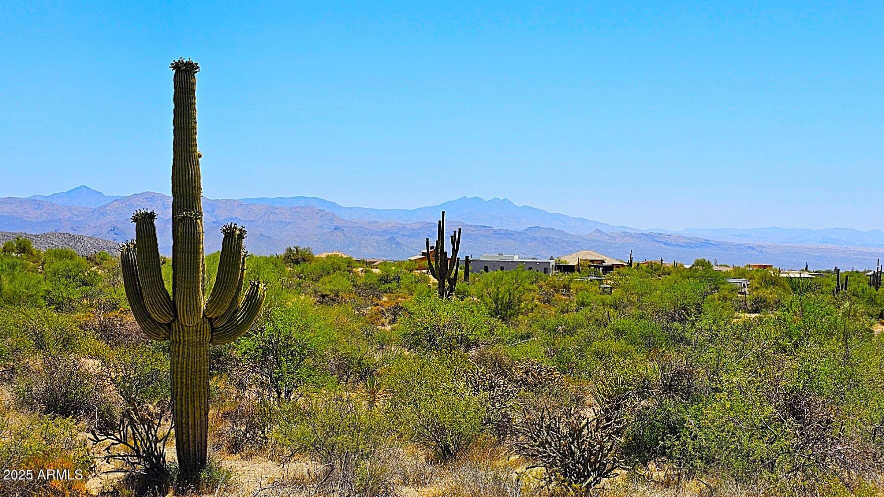 35449 N 136th Street -