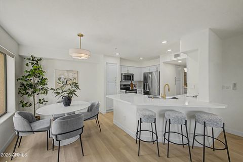 16631 E EL LAGO Boulevard 105 Fountain Hills AZ 85268