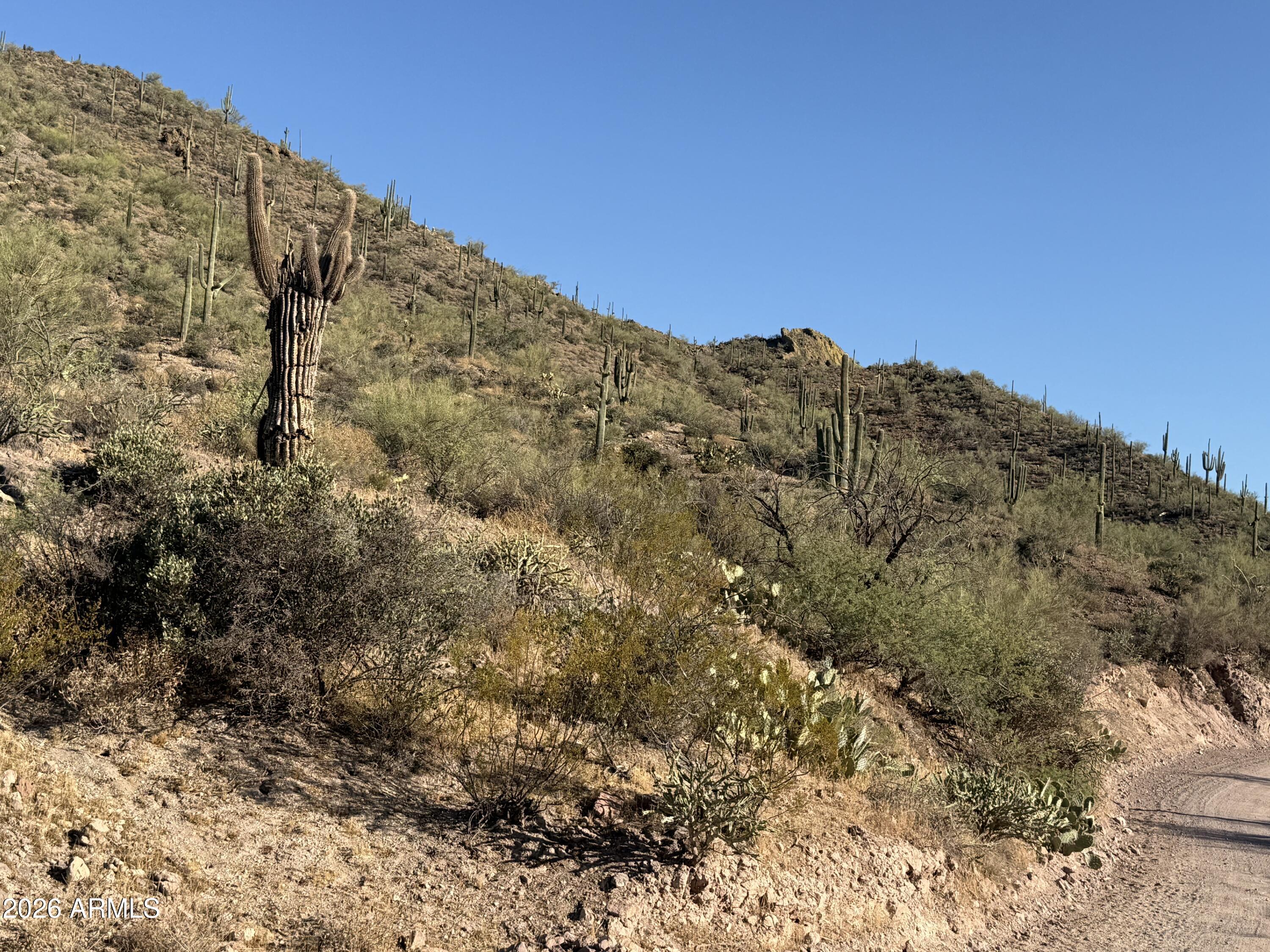 00XXX W Lake Pleasant / Lake View Drive -