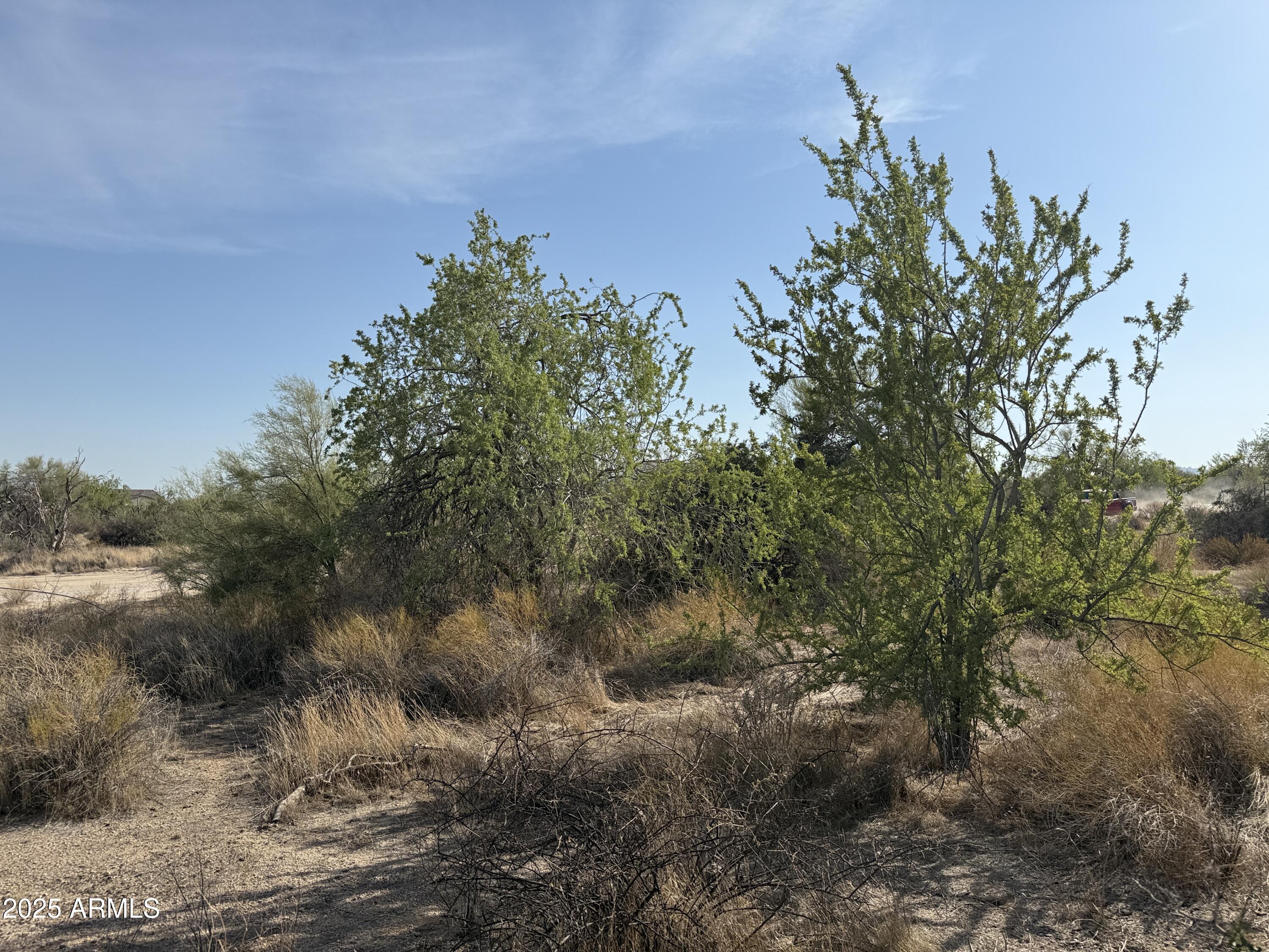 161XX E Dixileta Drive -‘