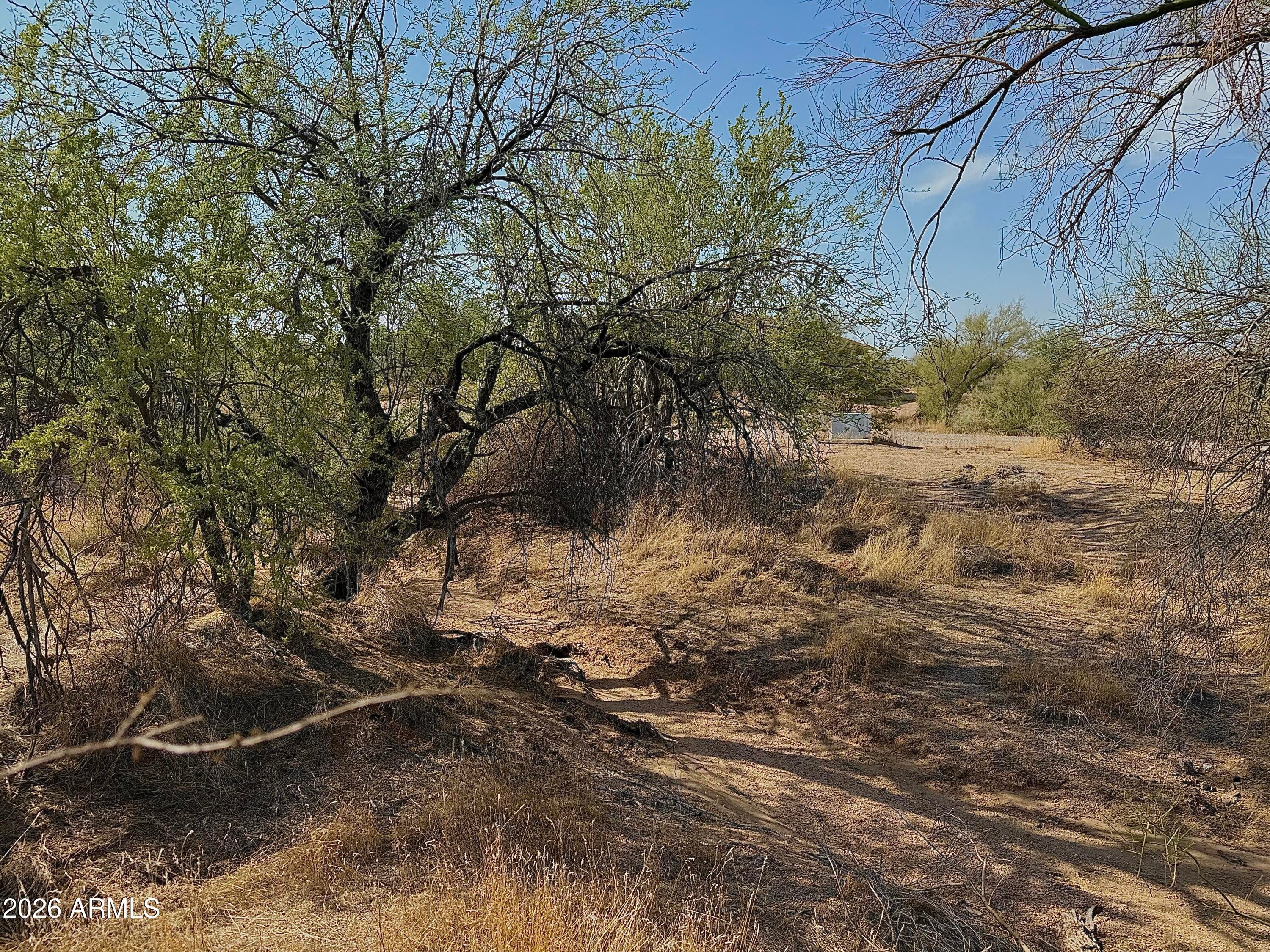 161XX E Dixileta Drive -