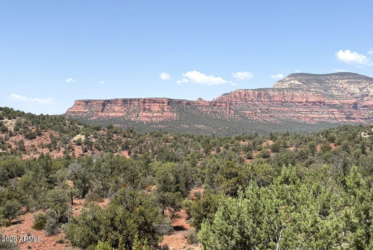 115 SILVERLEAF Drive 32